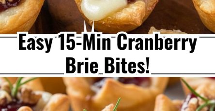 Cranberry Brie Bites