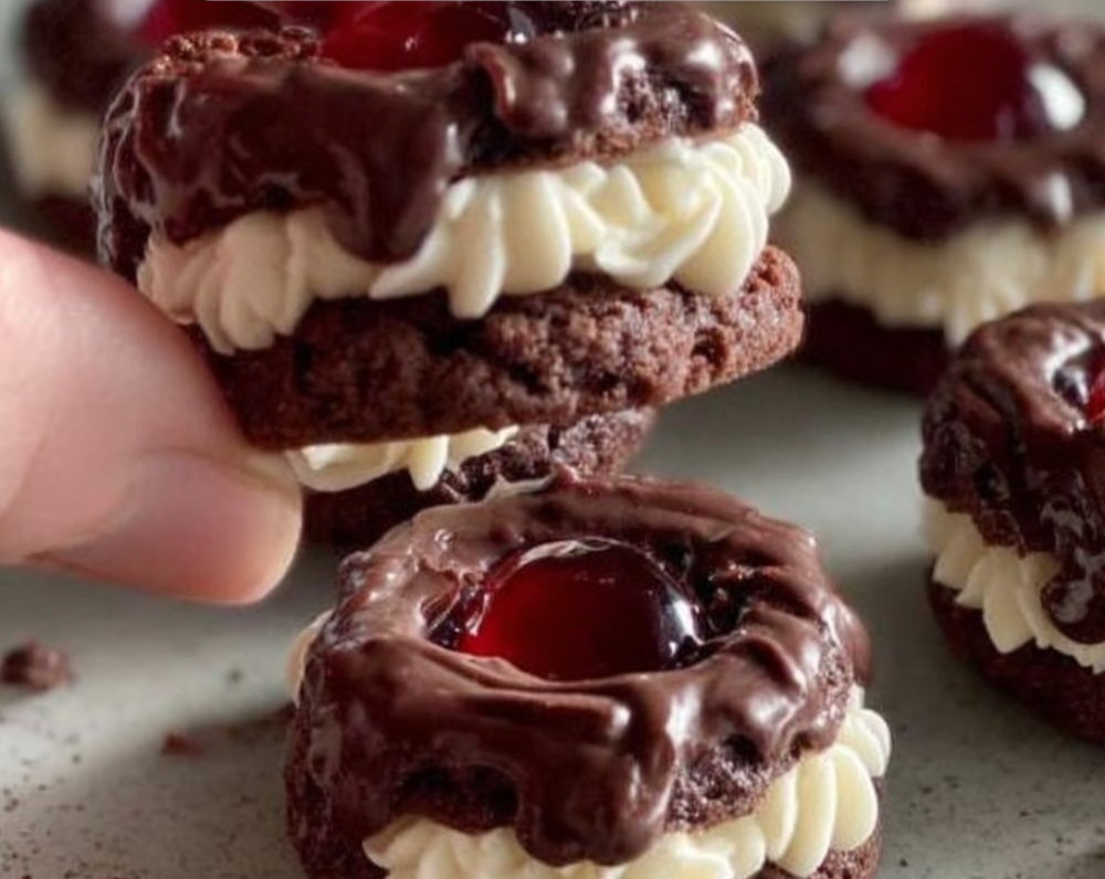 Easy Black Forest Christmas Cookies Ideas Prettiest Chocolate Treats overview