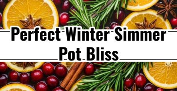 Cozy Cranberry Orange Simmer Pot Easy Stovetop Potpourri Recipe