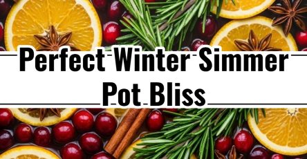 Cozy Cranberry Orange Simmer Pot Easy Stovetop Potpourri Recipe