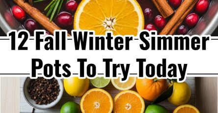 Easy Fall Winter Simmering Pot Recipes Orange Apple