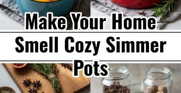 Easy Simmer Pot Recipes Best Smelling Fall Winter Home Aromas