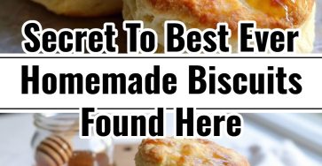 Best Ever Homemade Biscuits Recipe Easy Cast Iron Skillet